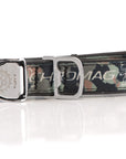 Dog Collar