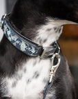 Dog Leash